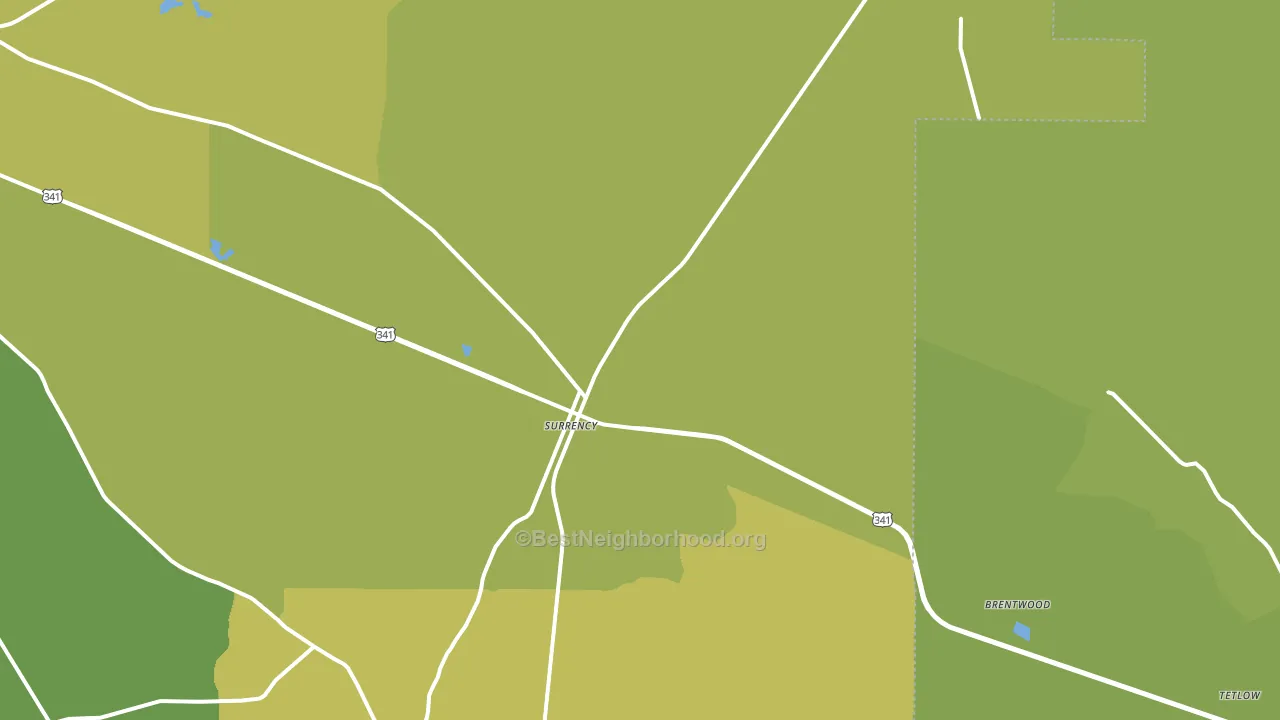 31563, GA block-group voter-turnout map