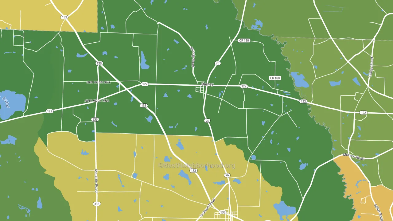 31625, GA block-group voter-turnout map