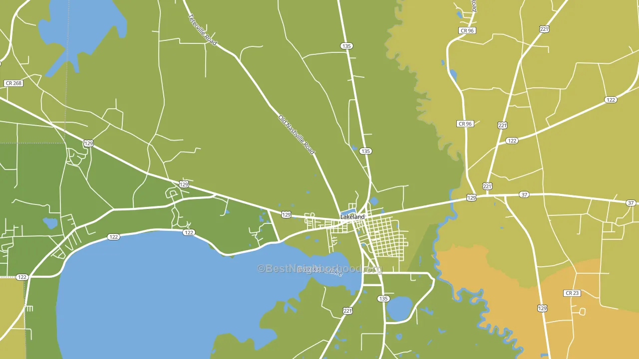 31635, GA block-group voter-turnout map