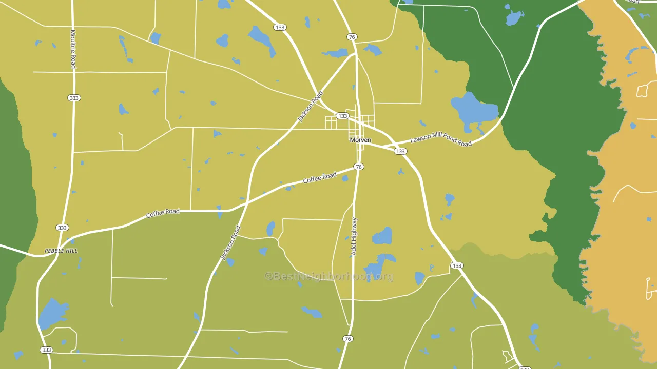 31638, GA block-group voter-turnout map