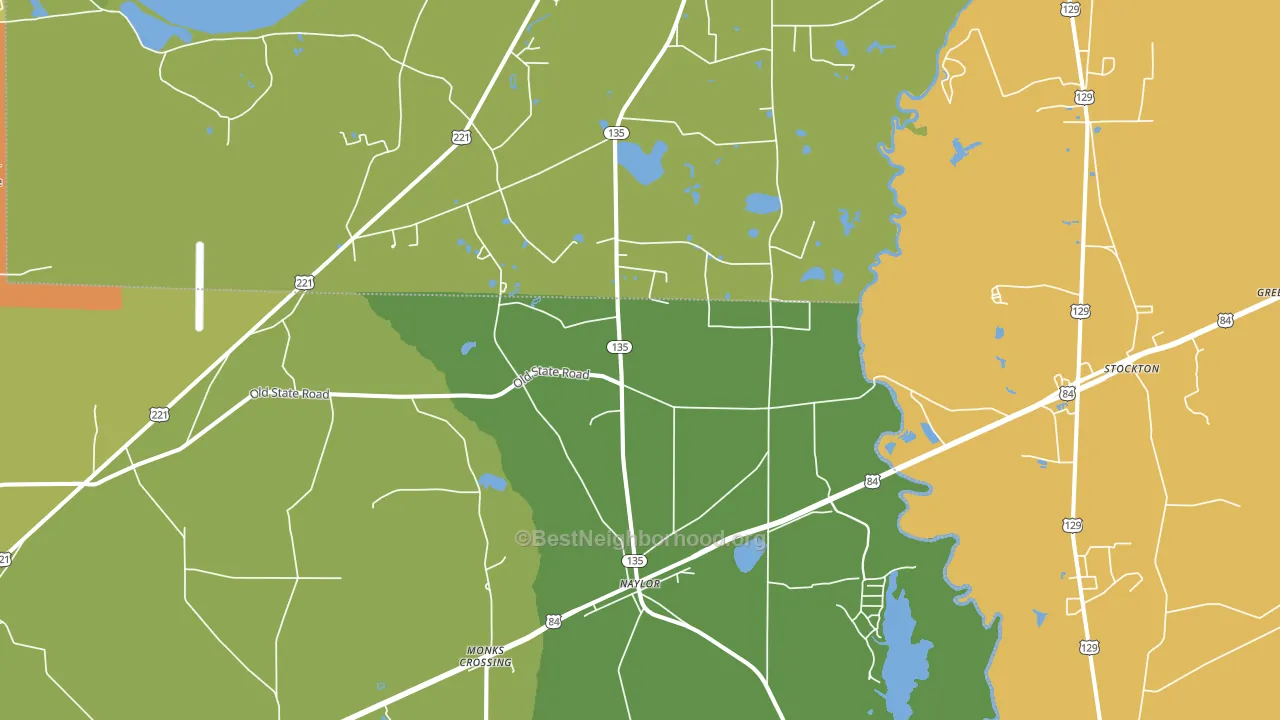 31641, GA block-group voter-turnout map