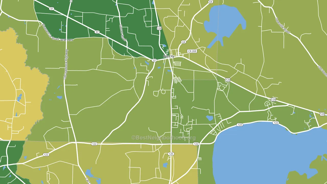 31645, GA block-group voter-turnout map