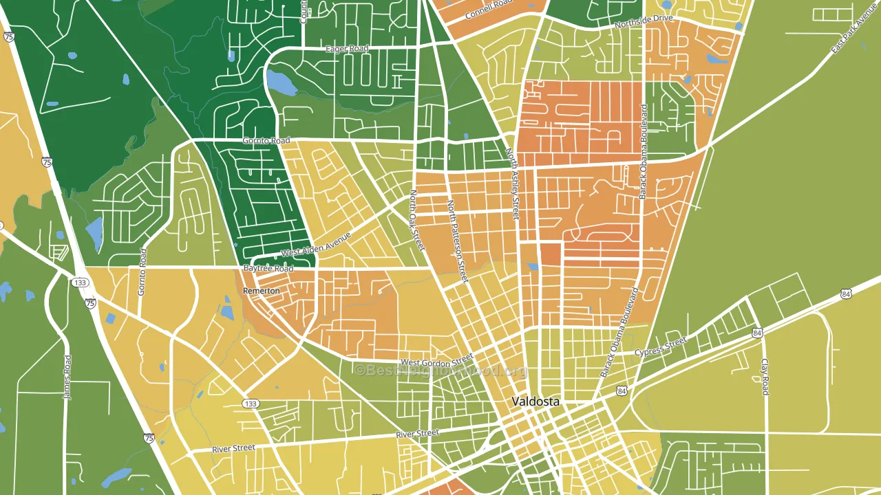 31698, GA block-group voter-turnout map