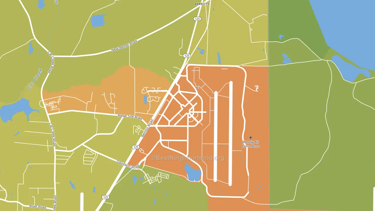 31699, GA block-group voter-turnout map
