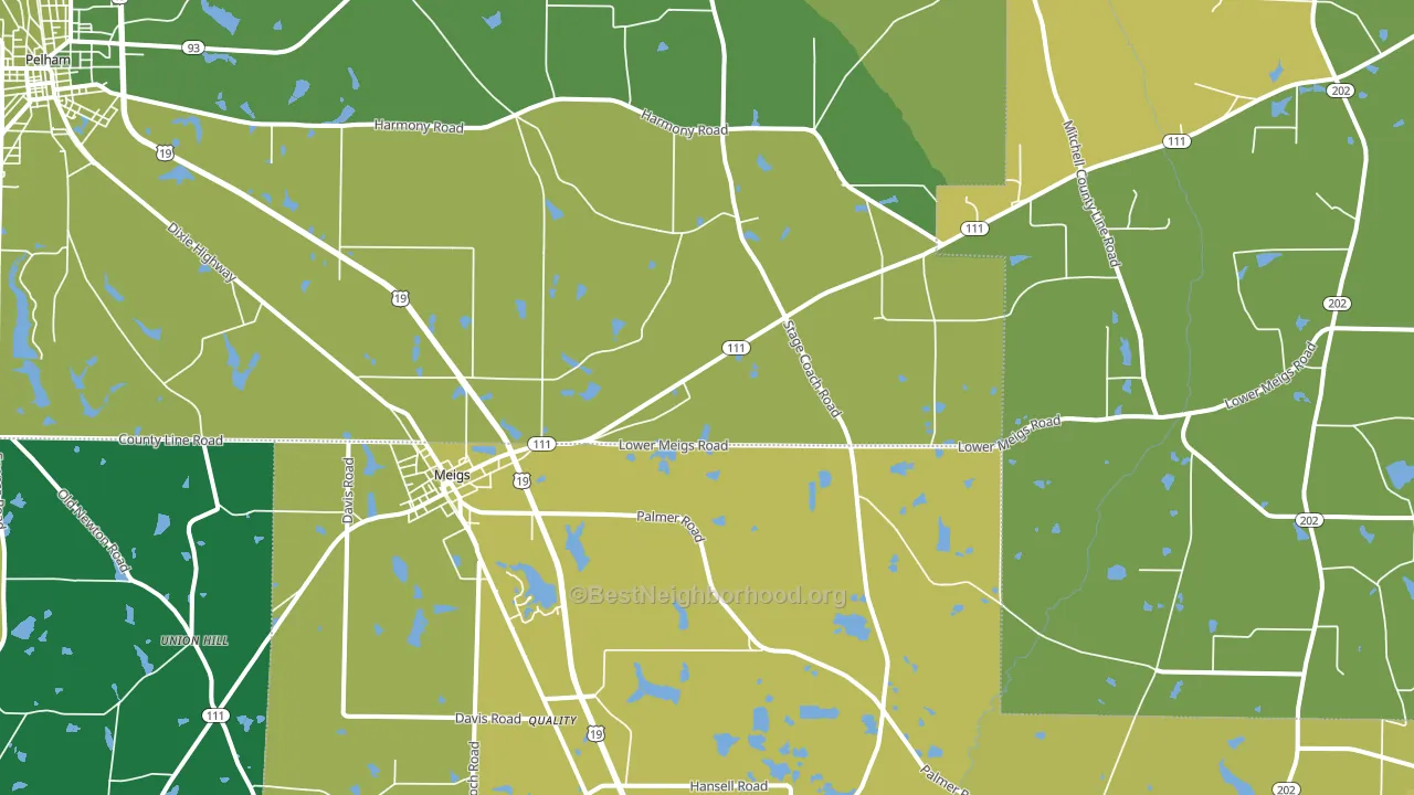 31765, GA block-group voter-turnout map
