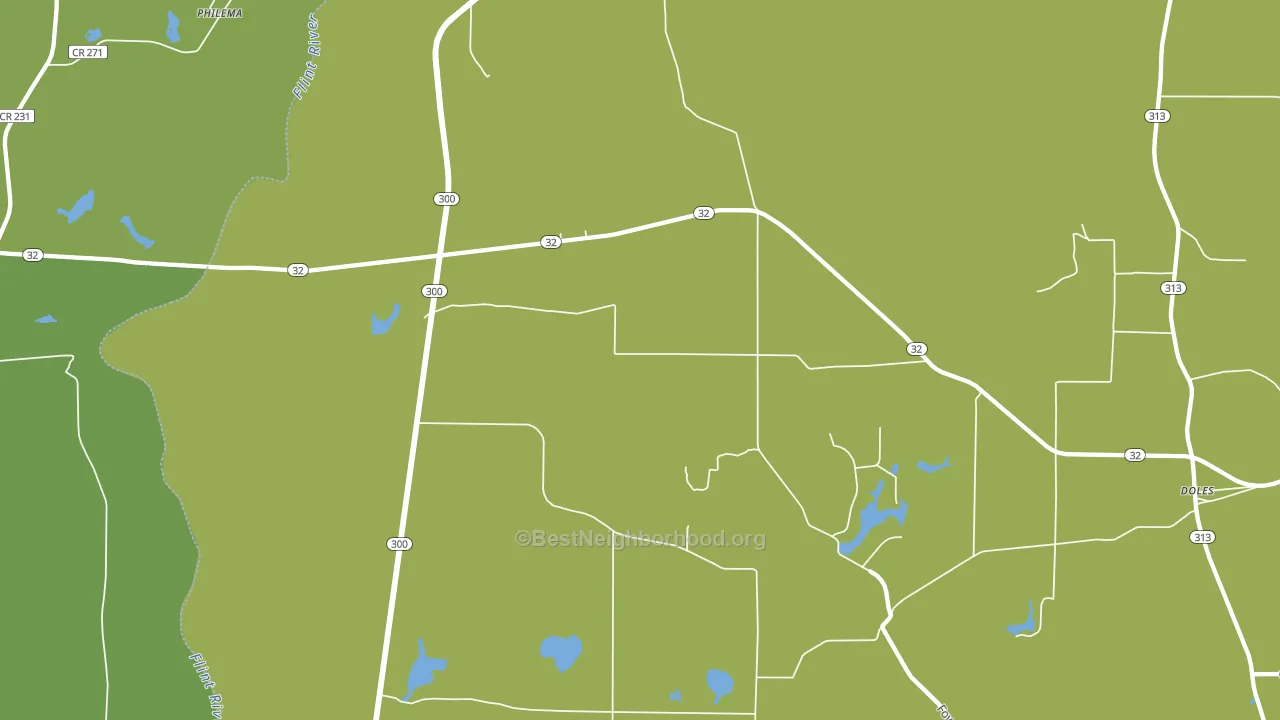 31772, GA block-group voter-turnout map