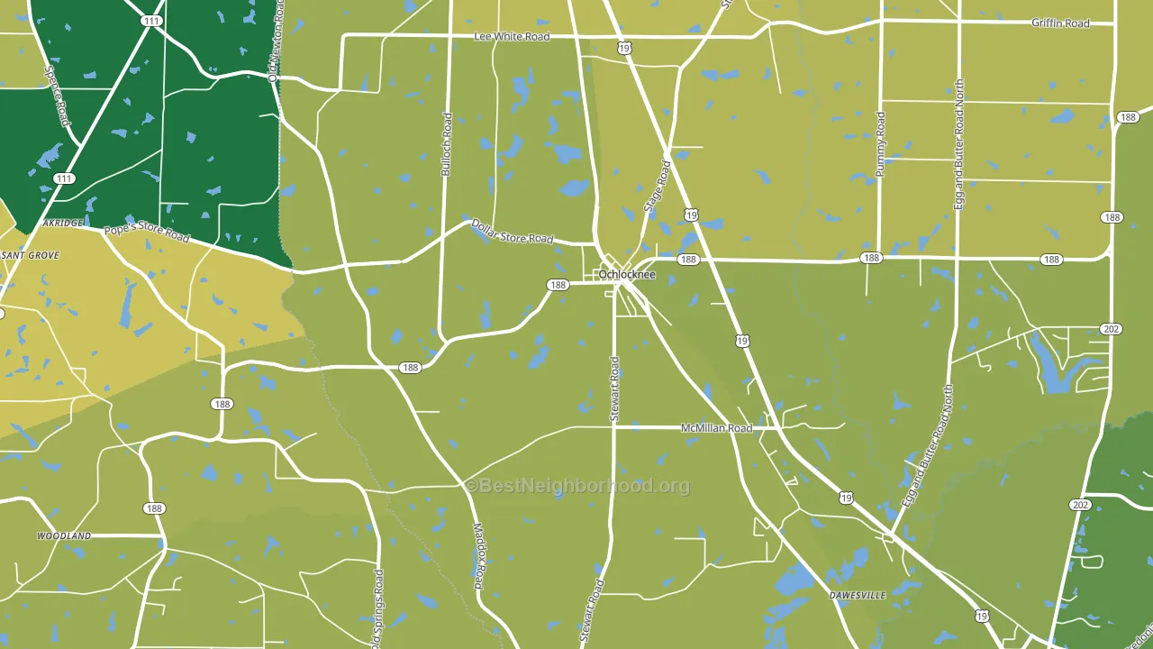 31773, GA block-group voter-turnout map