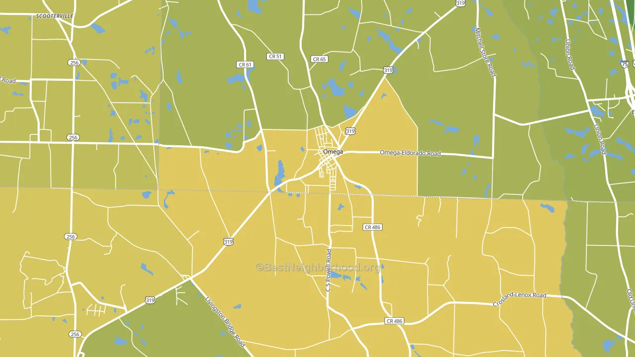 31775, GA block-group voter-turnout map
