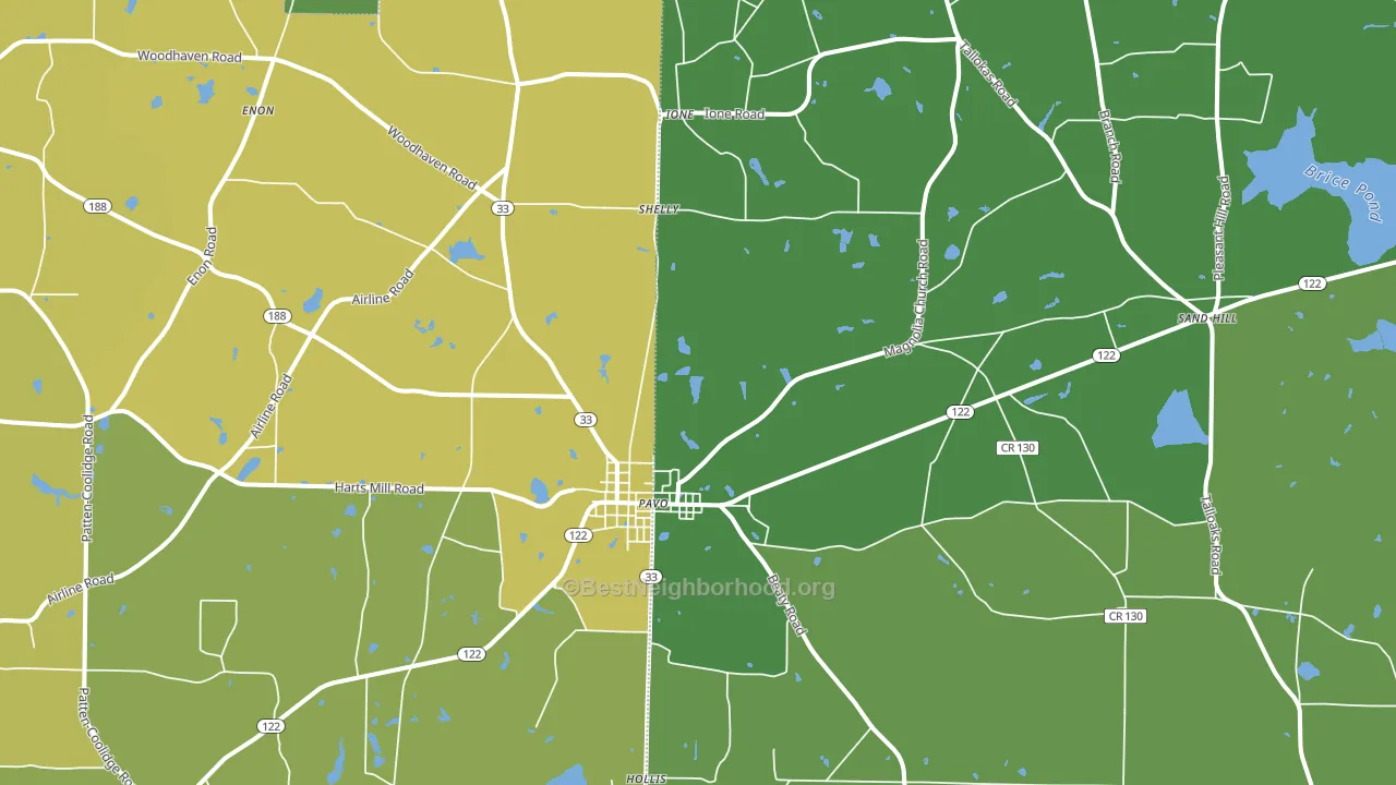 31778, GA block-group voter-turnout map
