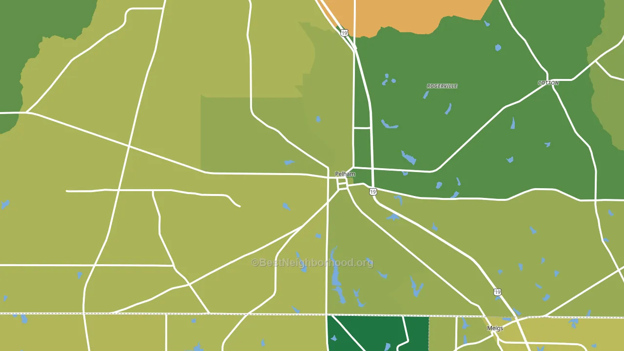 31779, GA block-group voter-turnout map