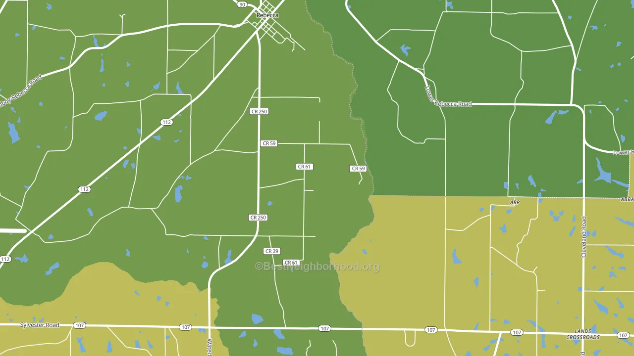 31783, GA block-group voter-turnout map
