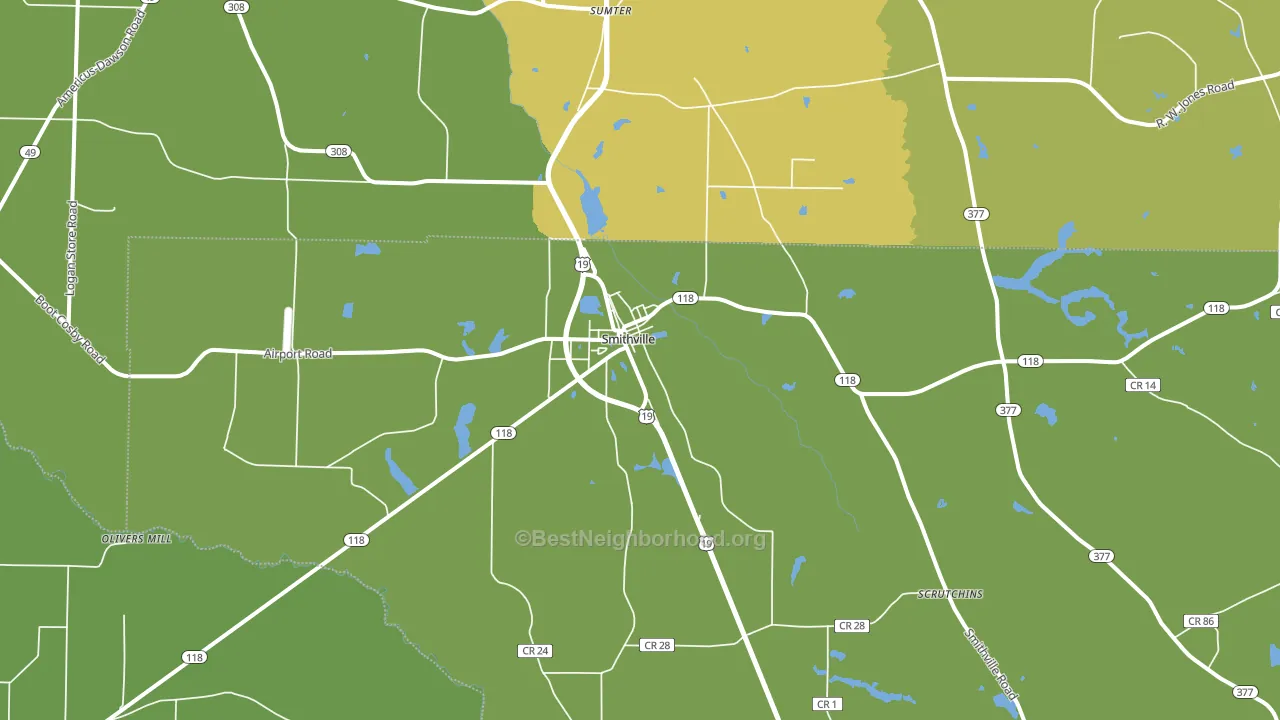 31787, GA block-group voter-turnout map
