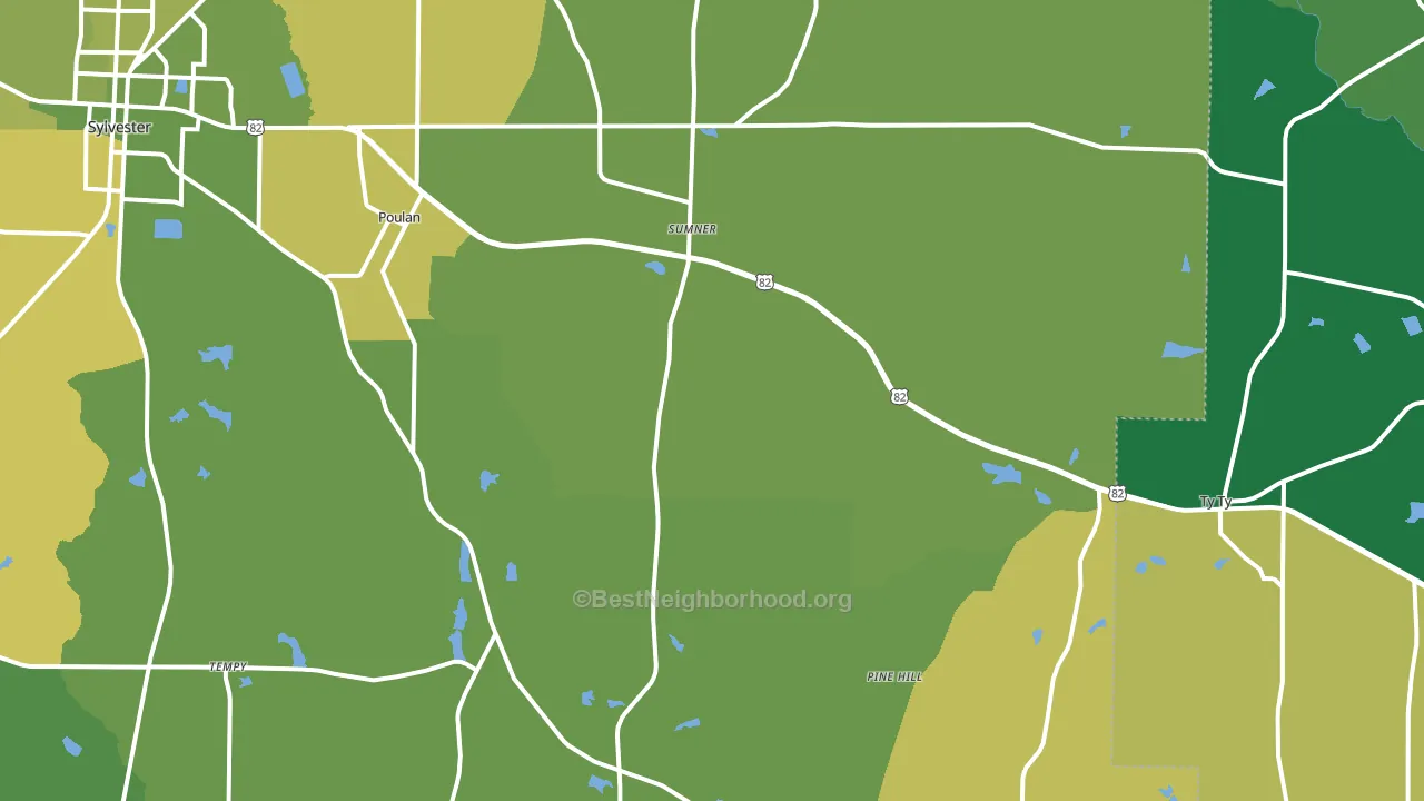 31789, GA block-group voter-turnout map