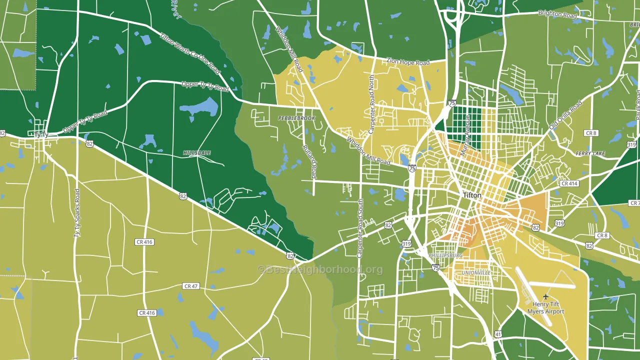 31793, GA block-group voter-turnout map