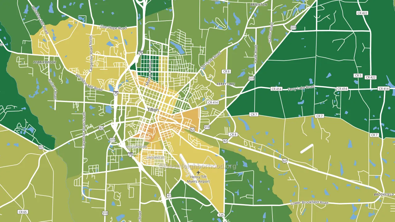 31794, GA block-group voter-turnout map