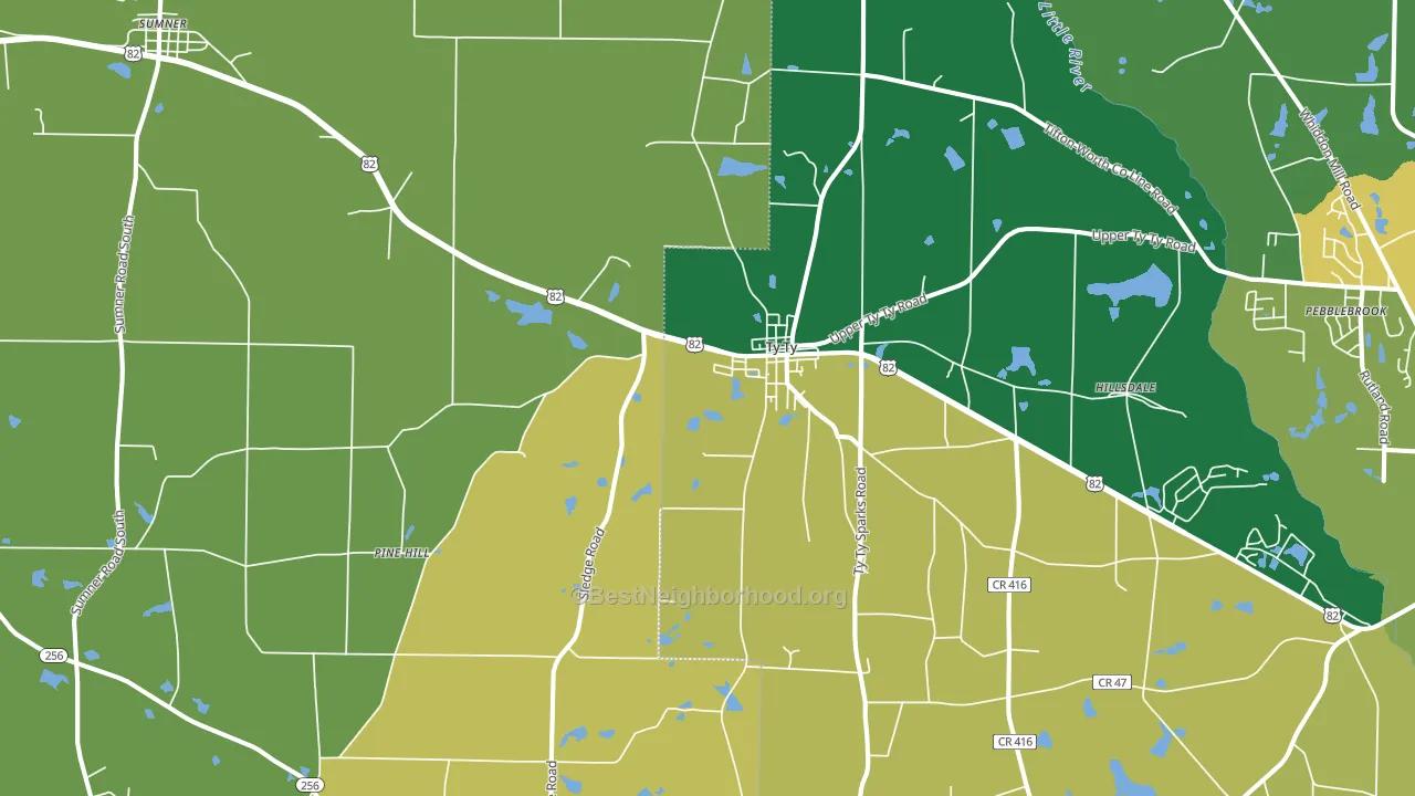 31795, GA block-group voter-turnout map