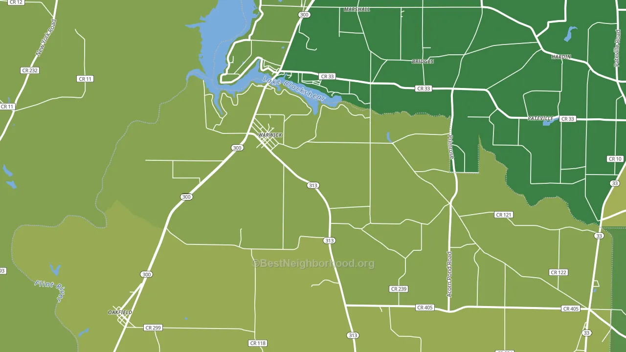 31796, GA block-group voter-turnout map