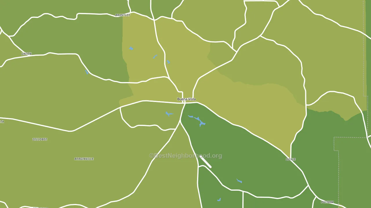 31803, GA block-group voter-turnout map
