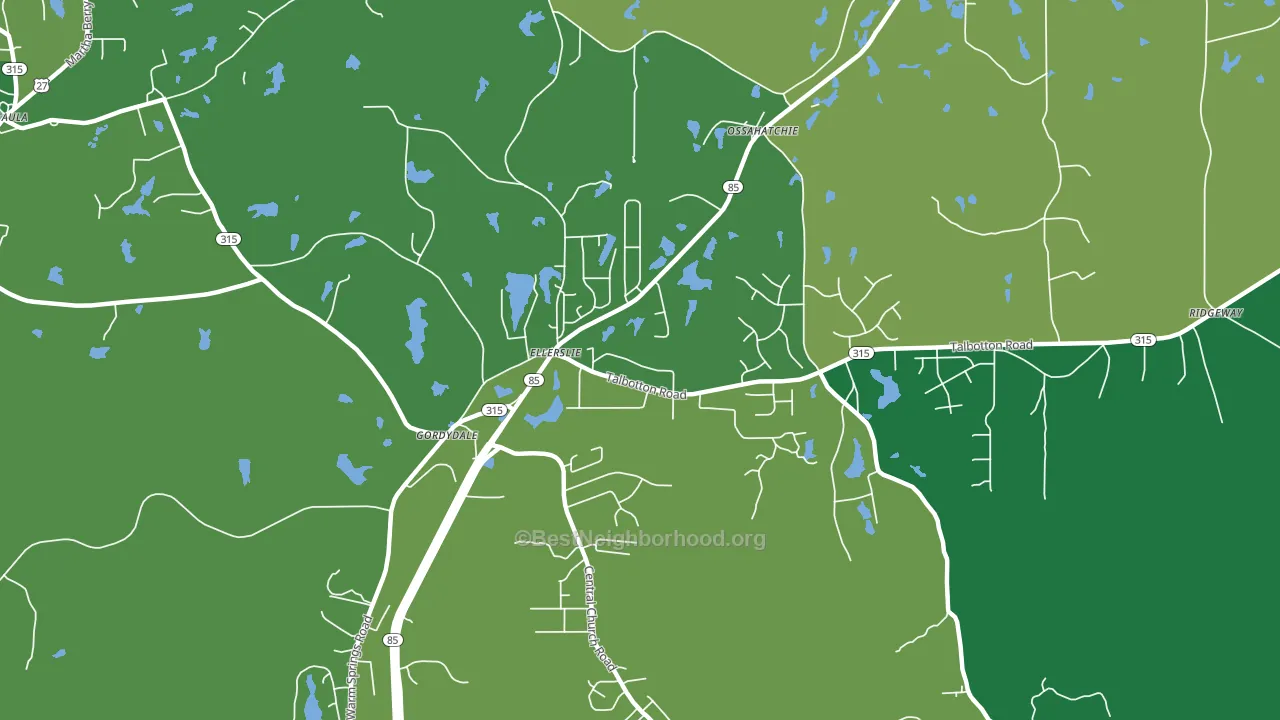 31807, GA block-group voter-turnout map