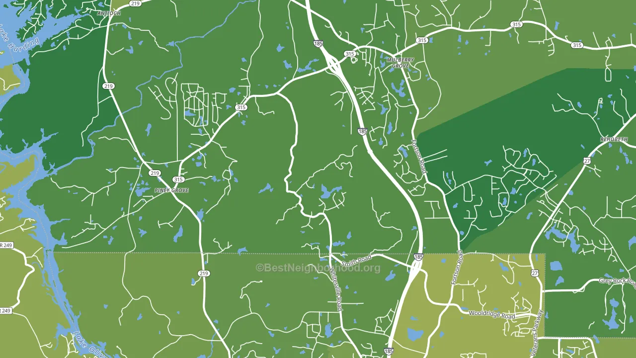 31808, GA block-group voter-turnout map