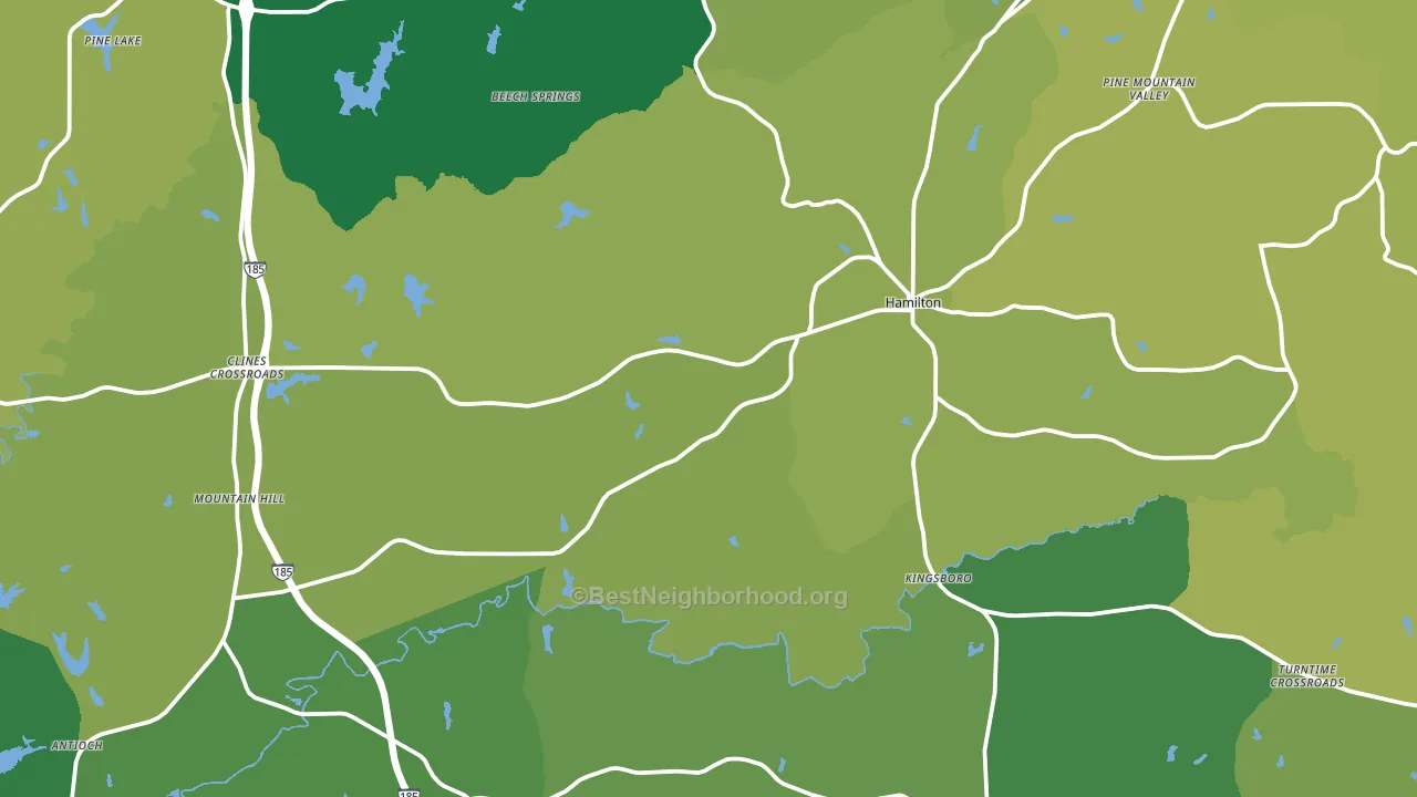 31811, GA block-group voter-turnout map