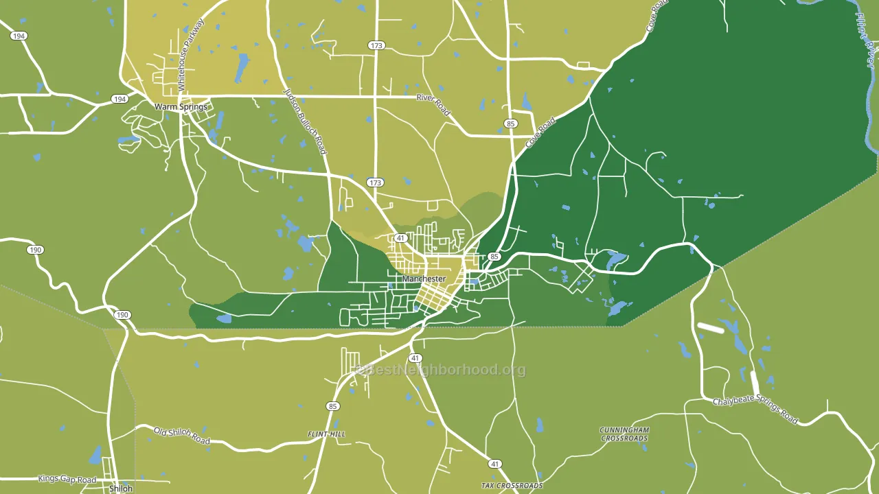 31816, GA block-group voter-turnout map