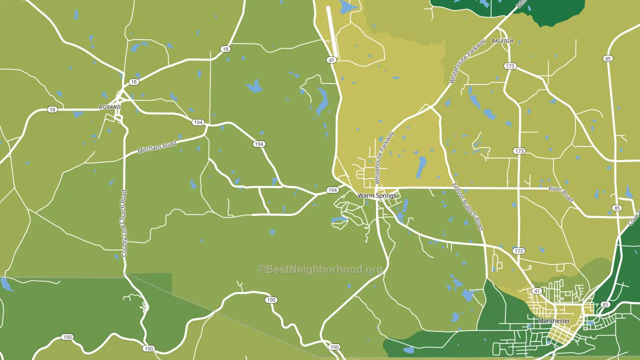31830, GA block-group voter-turnout map
