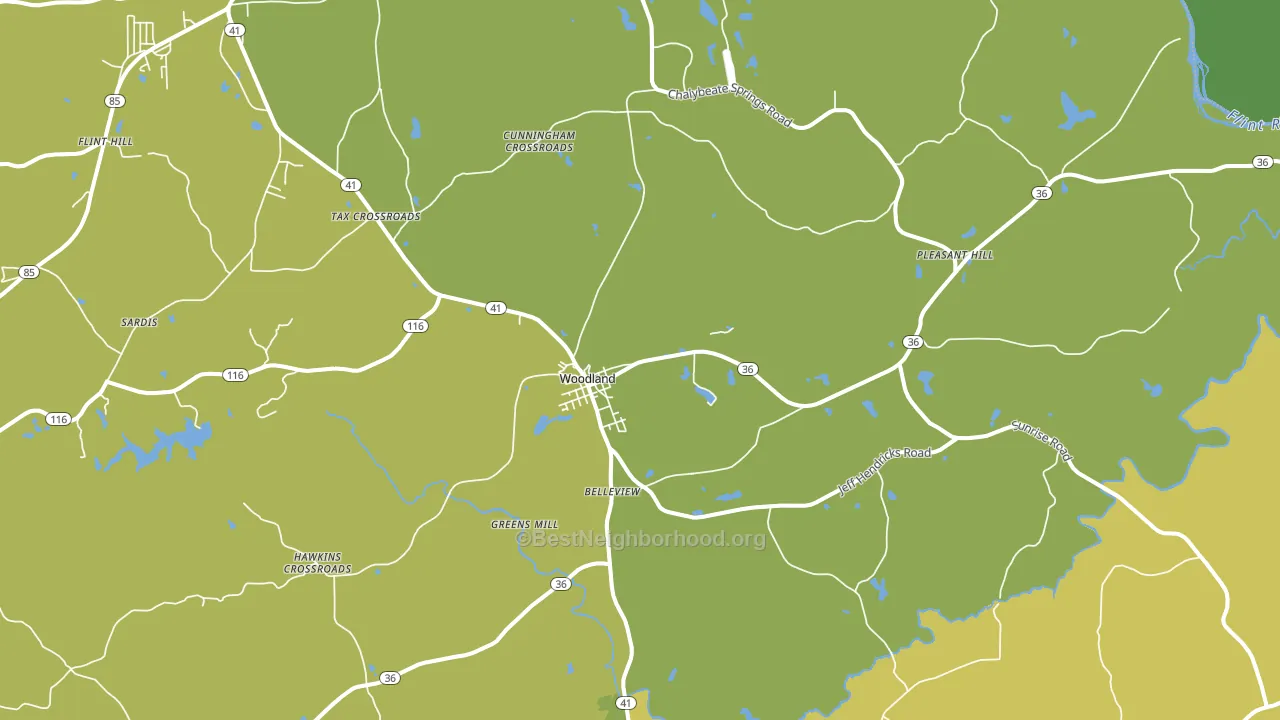 31836, GA block-group voter-turnout map