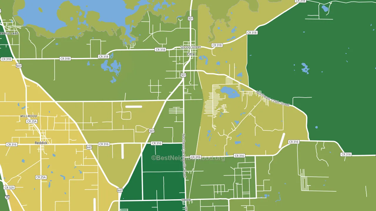 32113, FL block-group voter-turnout map