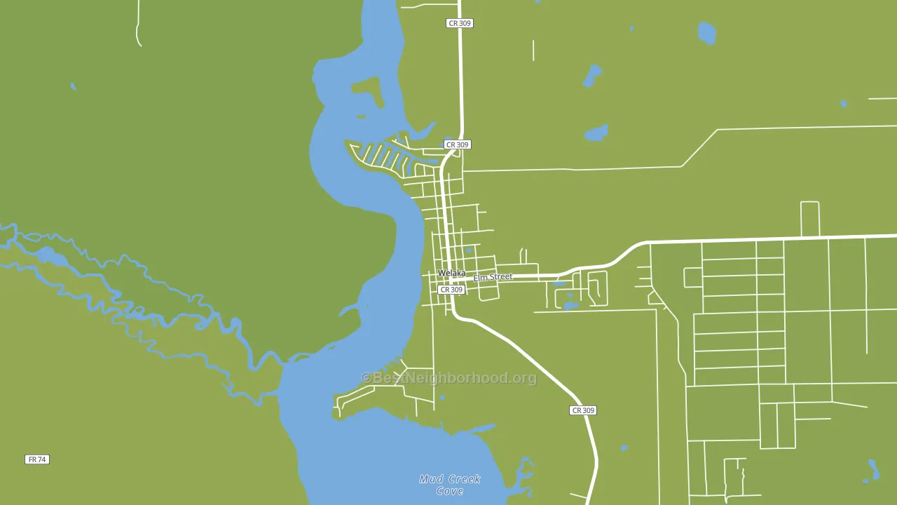 32193, FL block-group voter-turnout map