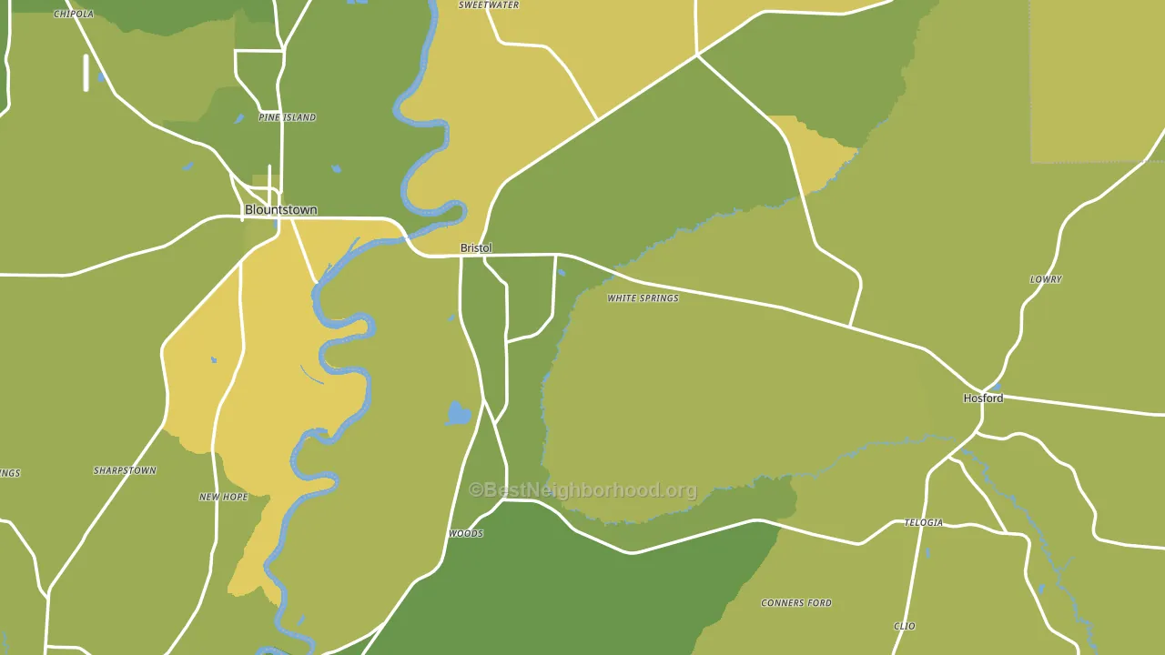 32321, FL block-group voter-turnout map