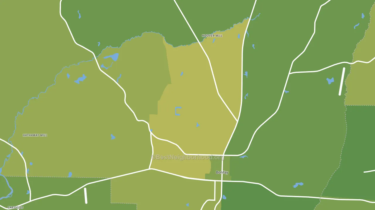 32425, FL block-group voter-turnout map