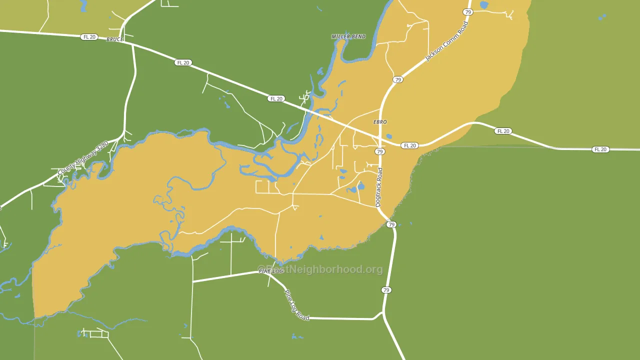 32437, FL block-group voter-turnout map