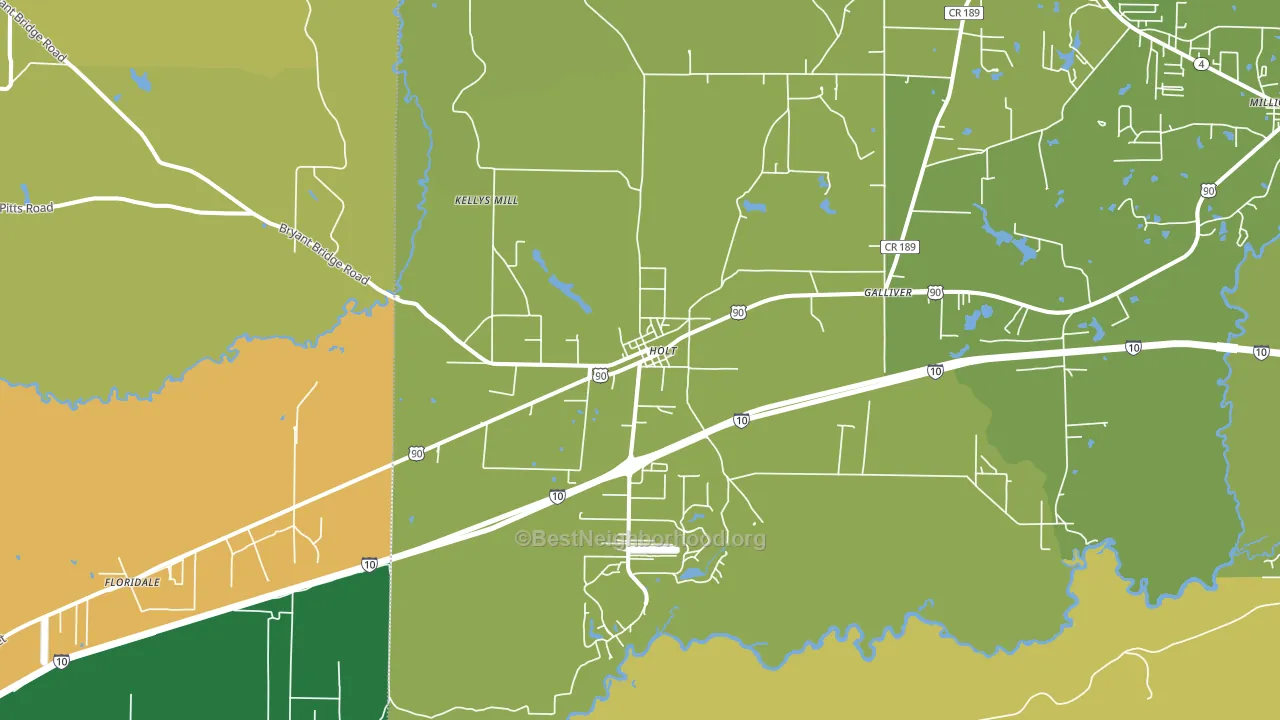 32564, FL block-group voter-turnout map