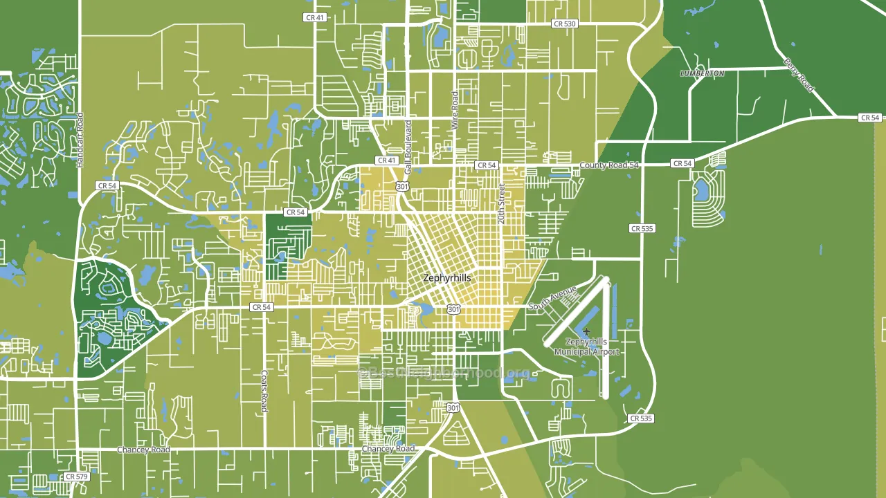 33542, FL block-group voter-turnout map