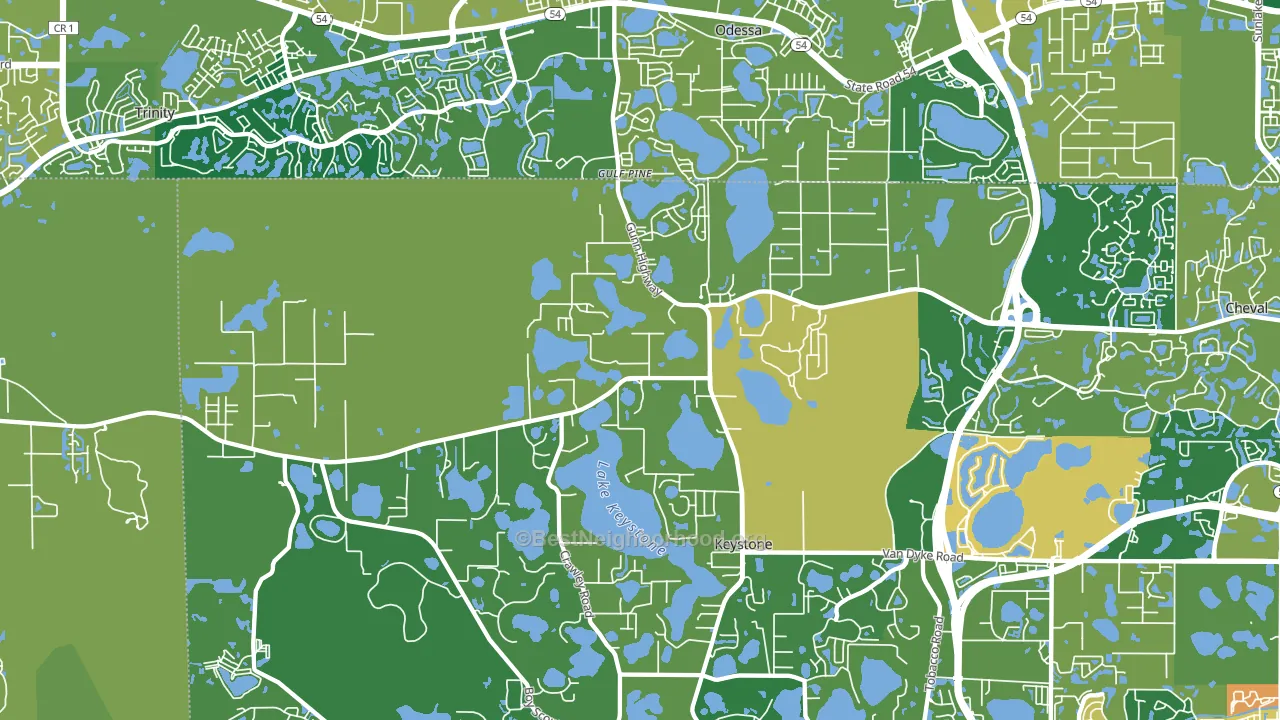 33556, FL block-group voter-turnout map