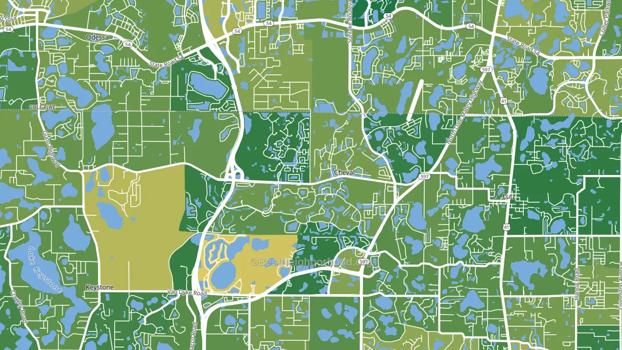 33558, FL block-group voter-turnout map