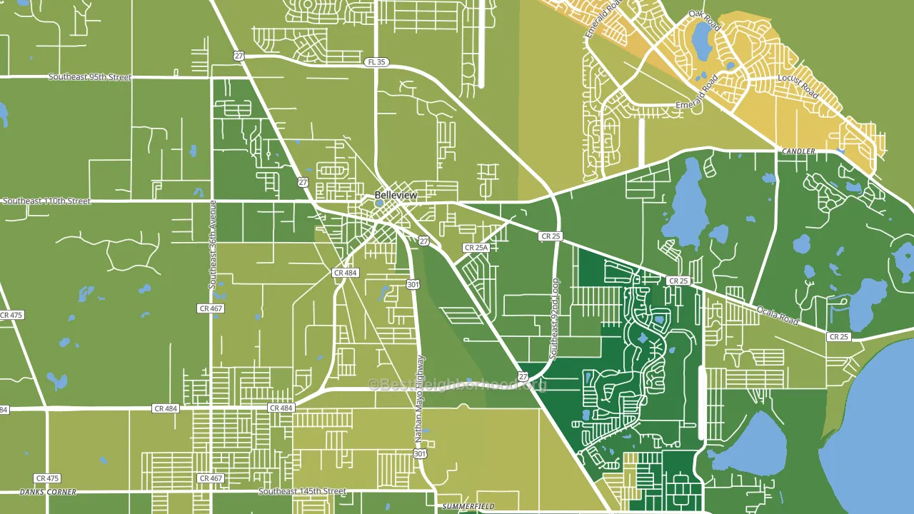 34420, FL block-group voter-turnout map