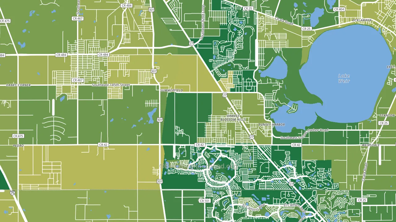 34491, FL block-group voter-turnout map