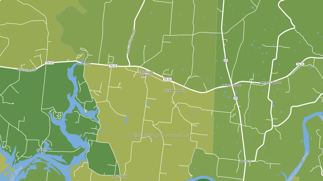 37031, TN block-group voter-turnout map