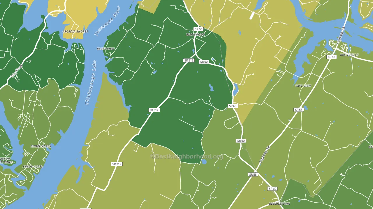 37308, TN block-group voter-turnout map