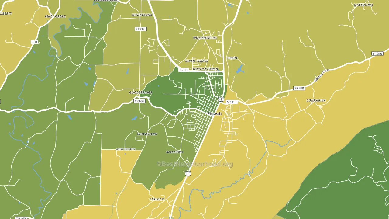 37331, TN block-group voter-turnout map