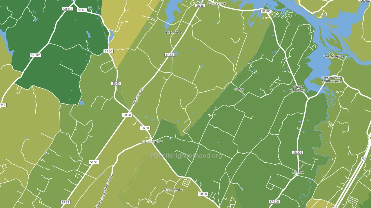 37336, TN block-group voter-turnout map