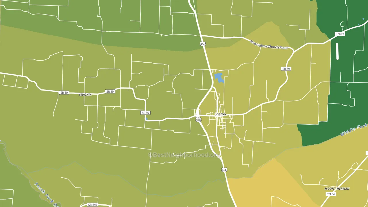 38255, TN block-group voter-turnout map