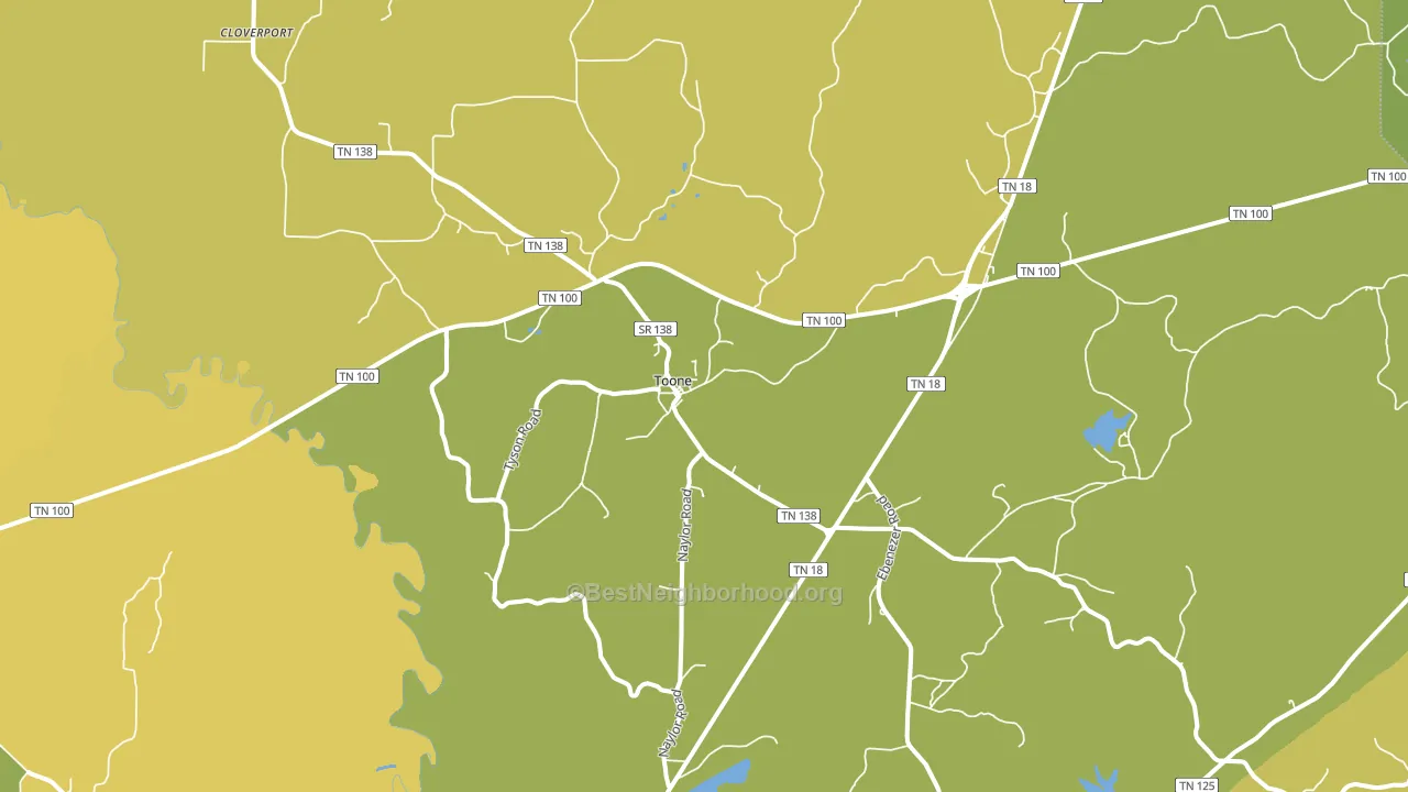 38381, TN block-group voter-turnout map