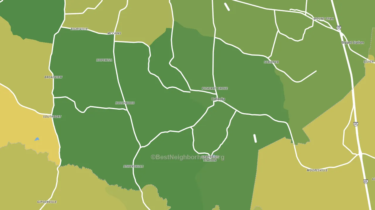 38451, TN block-group voter-turnout map