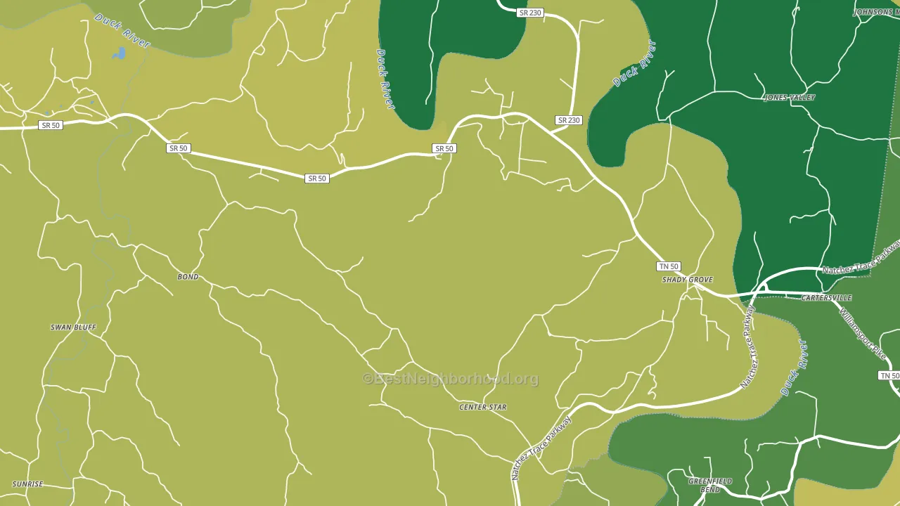 38454, TN block-group voter-turnout map