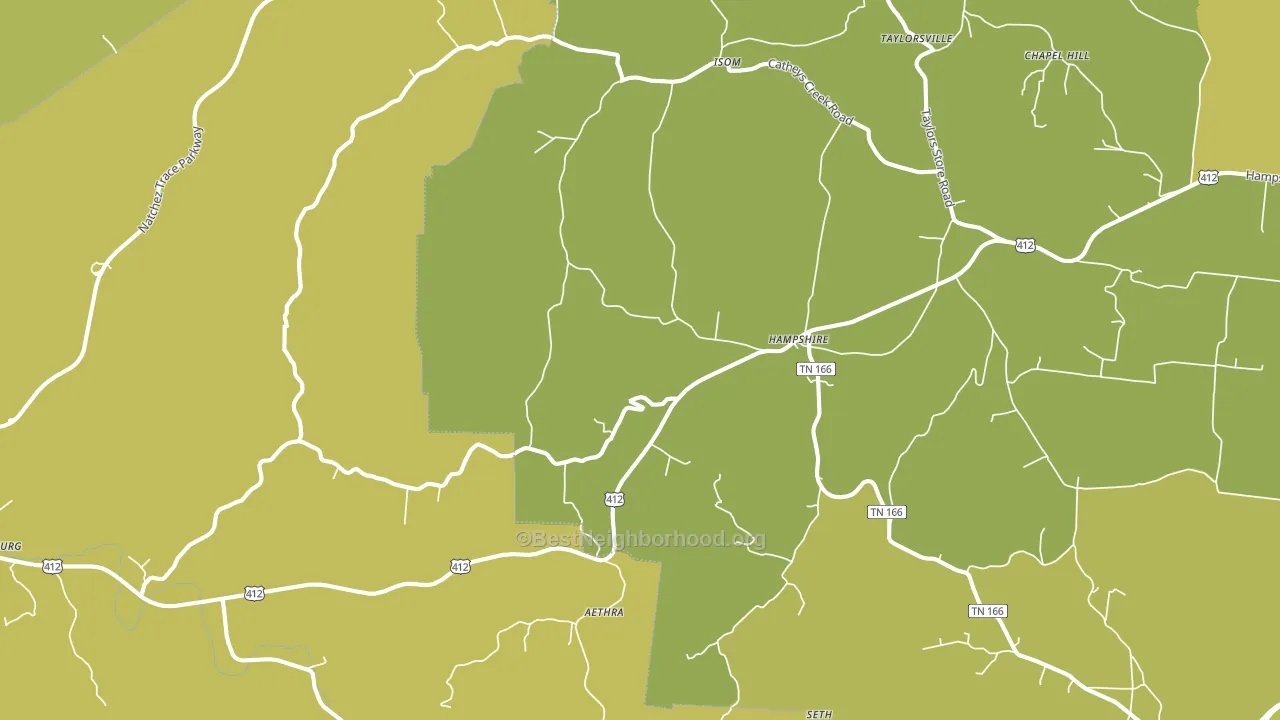38461, TN block-group voter-turnout map