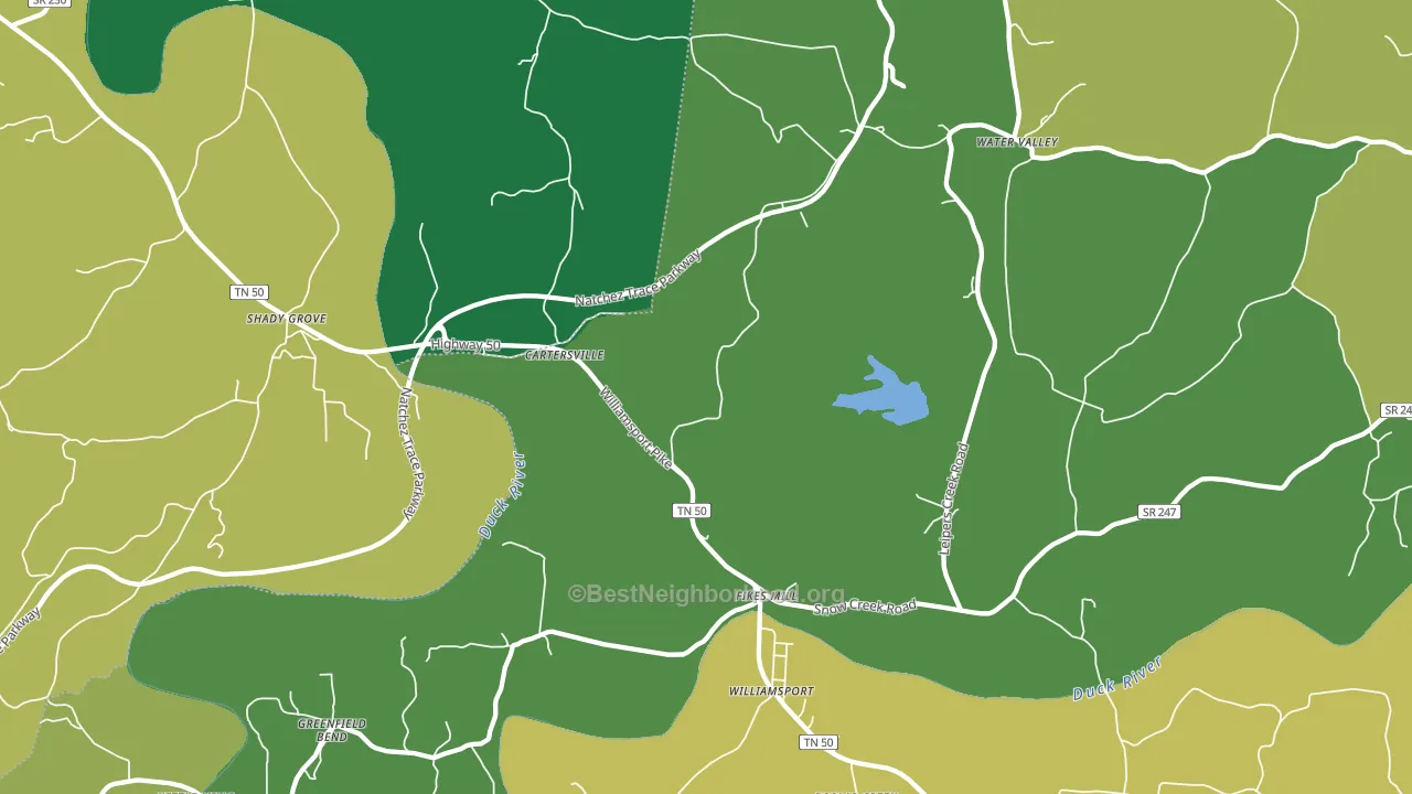 38487, TN block-group voter-turnout map
