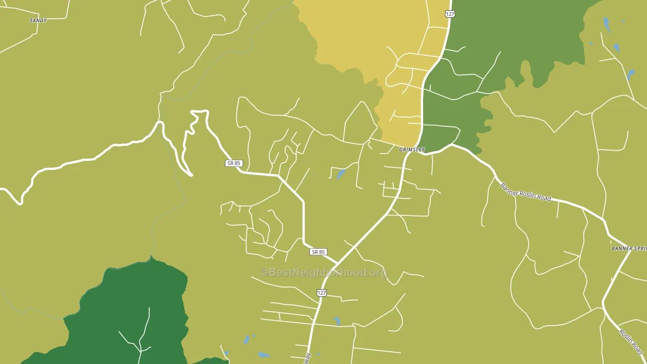 38565, TN block-group voter-turnout map